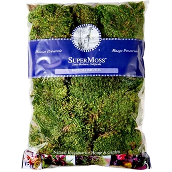 Moss Preserved - Mood Buns Natural Green - 16OZ PKG - 480 Cubic Inches