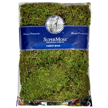 Moss Preserved - Forest Natural Green 16OZ  480 Cubic Inches