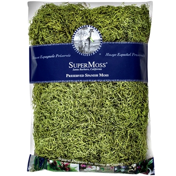 Moss Preserved - Spanish Basil 16OZ 480 Cubic Inches