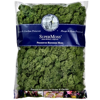 Moss Preserved - Reindeer Basil 16OZ  480 Cubic Inches