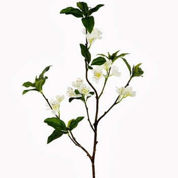 Blossom - Japanese Quince 26in White - FSB412-WH