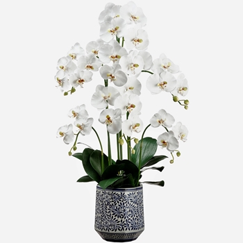 Orchid - Phalaenopsis Delft Planter 37in - LFO620-CR/GR