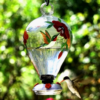 Hummingbird Feeder - Balloon Gondola - 6x10in 50 OZ Hand Blown Painted Recycled Glass - Dripless
