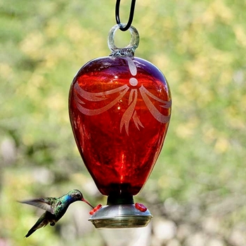 Hummingbird Feeder - Balloon Gondola Ruby Red - 6x10in 50 OZ Hand Blown Recycled Glass - Dripless