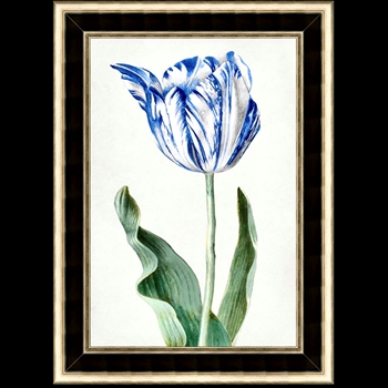 16W/22H Glass Framed Matte Paper - Spring Tulip 1 - Black/Gold MC1974 Frame - Lillian August
