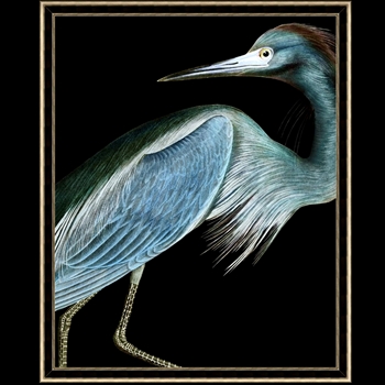 44W/53H Glass Framed Matte Paper - Stately Heron 1 - Thom Filicia