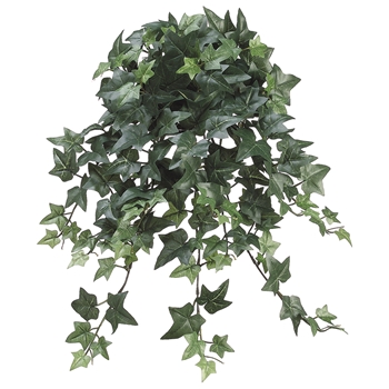Ivy Plant  - English 22in Cascade Green 2 Tone  - PBW422-GR/TT