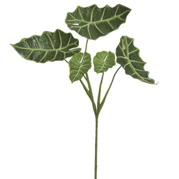 Alocasia Leaf Spray Green 32in - PSA431-GR