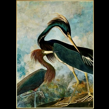 42W/58H Framed Giclee - Herons - Gold Gallery Float - Jackie Von Tobel. Available sizes - 16x22, 20x28, 24x34, 30x42, 36x50, 40x56, 47x66, 54x76