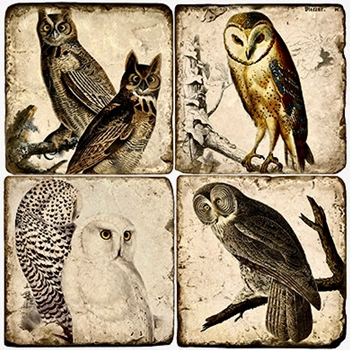Coaster - Tumbled Marble Set4 - Audubon's Owls