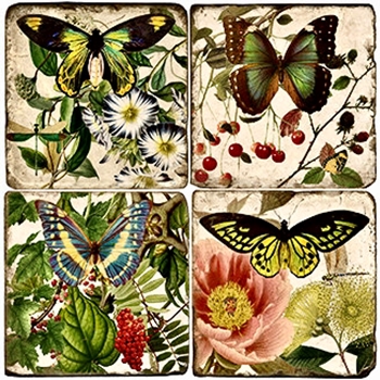 Coaster - Tumbled Marble Set4 - Butterfly Garden