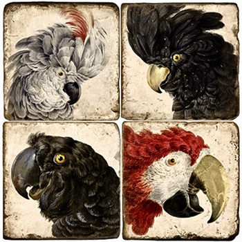 Coaster - Tumbled Marble Set4 - Parrot Portraits