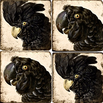 Coaster - Tumbled Marble Set4 - Parrot Portraits Black
