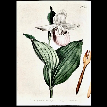 Tea Towel - Botanical  Lady Slipper 20x30in