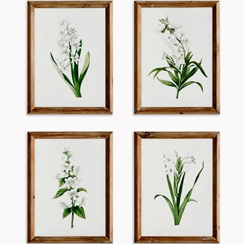 12W/16H - Glass Framed Print Garden Blooms Set of 4 sold individually