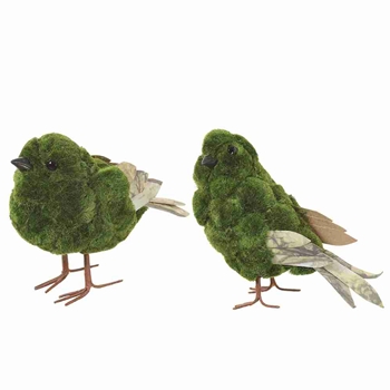 Bird - Sparrow Moss 6in  AA0621