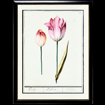 10W/12H Framed Glass Print - Tulips Plate B Beaded Black Frame