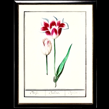 10W/12H Framed Glass Print - Tulips Plate E Beaded Black Frame