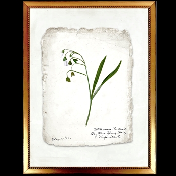 10W/12H Framed Glass Print - Vintage Garden Sprig  C on Torn Paper - Beaded VG Frame