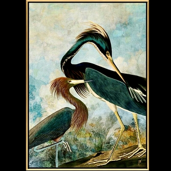 56W/78H Framed Giclee - Herons - Gold Gallery Float - Jackie Von Tobel. Available sizes - 16x22, 20x28, 24x34, 30x42, 36x50, 40x56, 47x66, 54x76