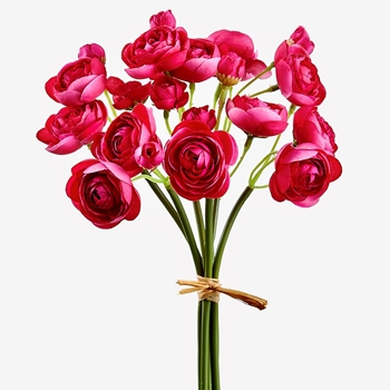 Ranunculus - Bouquet Mini 10in Fuchsia - FSR125-BT