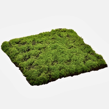 Moss - Sheet Faux Forest - 12in Square