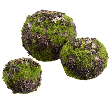 Moss - Globe With Bark PKG of 3 Sizes 3in, 5in, 6in - AA2210-GR