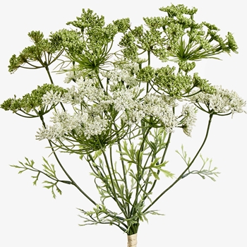 Blossom - Queen Anne's Lace Bundle 19.5in Celery 19.5in FBQ131-CR/GR