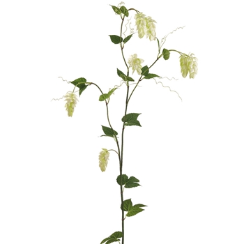 Hops Vine - Celadon Blooms Green 69in FSH090-CR/GR - REAL TOUCH