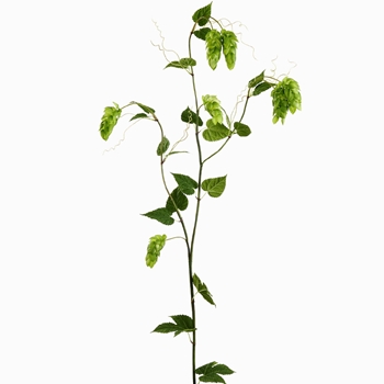 Hops Vine - Kiwi Green Blooms 69in FSH090-GR
