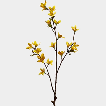 Blossom - Forsythia 29in Yellow - FSF777-YE