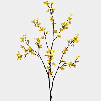 Blossom - Forsythia 42in Yellow - FSF779-YE