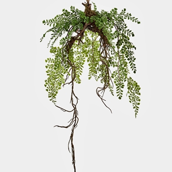 Fern - Maiden Hair Plant Hanging With Root 30in PDF007-GR