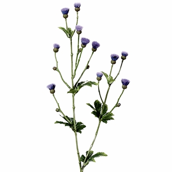 Thistle - Flowering Scotch - Lavender Blue 31in FST263-LV