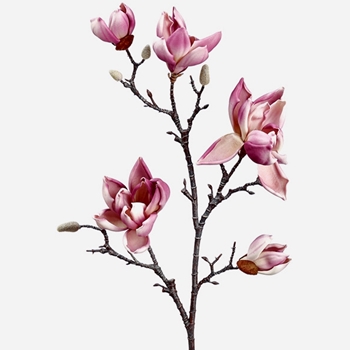 Magnolia Branch Pink/Lavender 40in 7head FSM224-LV