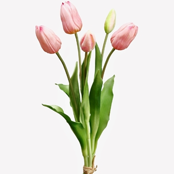 Tulip - Dutch Pink Bundle5 Real Touch 16in FBT004-PK