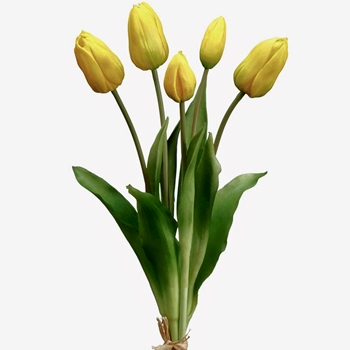 Tulip - Dutch Yellow Bundle5 Real Touch 16in FBT004-YE