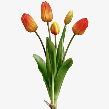 Tulip - Dutch Orange Bundle5 Real Touch 16in FBT004-OR