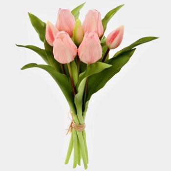 Tulip - Bundle X6 Pink 12in - FBQ165-PK