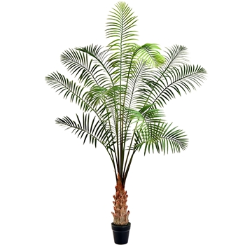 Palm - Kentia Tree 5ft Plastic Pot - LTP480-GR