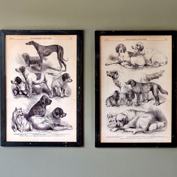 26W/38H Framed Glass Print - Canines Sepia Sold Individually