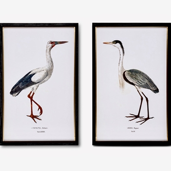 18W/27h Print - Glass Framed - Herons - Black Frames Sold Individually