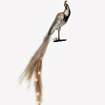 Bird - Peacock Champagne & Silver LED Tail 11x28in