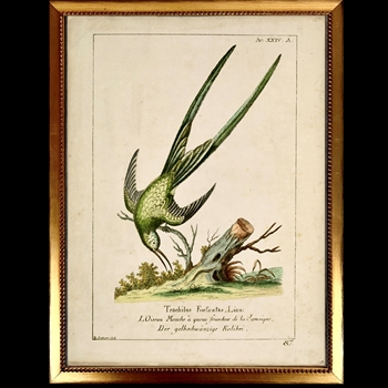 10W/12H Framed Glass Print - Vintage Plate E - Green Swallow - Beaded Vintage Gold