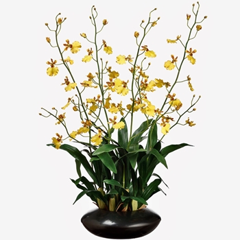 Orchid - Oncidium Orchid Yellow in Bronze Oval Planter 35in  - LFO404-YE
