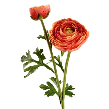 Ranunculus - Bloom & Bud - Coral 22in - FSR220-CO - Real Touch