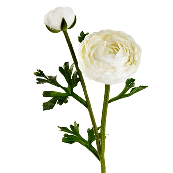 Ranunculus - Bloom & Bud - White 22in - FSR220-WH - Real Touch