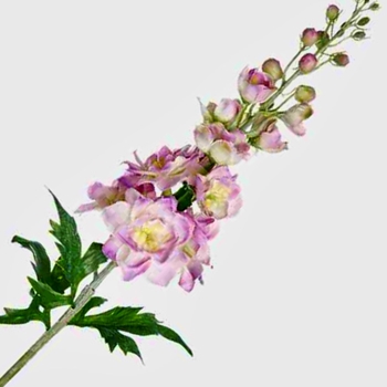 Delphinium  - Pink 28in - FSD455-LV - Real Touch