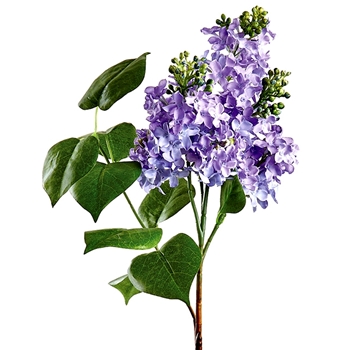 Lilac - Leafy Lavender Violet Blue 4 Budding Blooms 26in - FSL200-LV