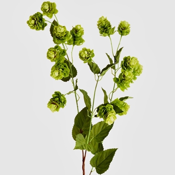 Hops Vine - Kiwi Green Blooms 39in FSH109-GR - REAL TOUCH